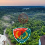 Gujarat RFO Transfer