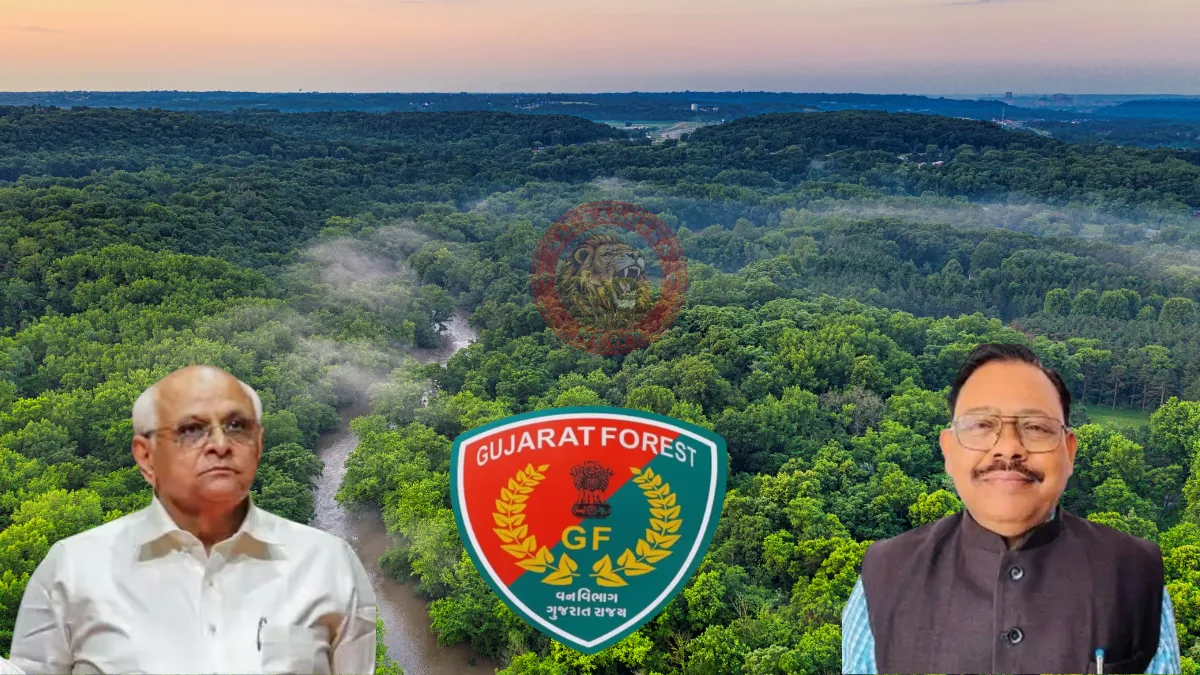 Gujarat RFO Transfer