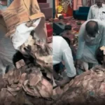 Jam Khambhaliya Video Goes Viral