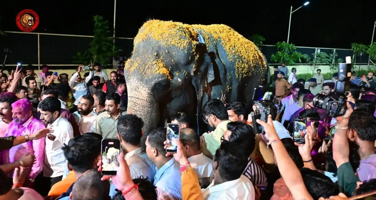 Madhuri Elephant to Return to Kolhapur