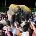 Madhuri Elephant to Return to Kolhapur