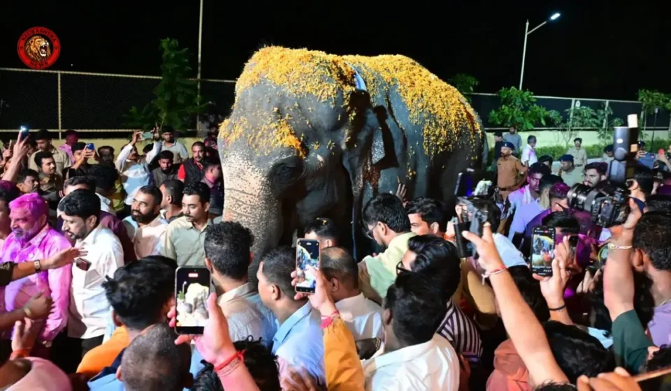 Madhuri Elephant to Return to Kolhapur